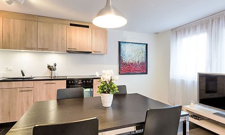 Bergfrieden Apt. 2 7