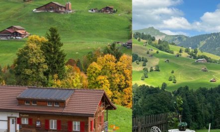 Serviced Apartment Chalet Bärgblüml i Ha