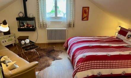 Serviced Apartment Chalet Bärgblüml i Ha 6