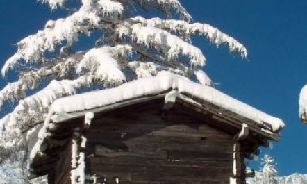 Chalet Alpenrösli 7