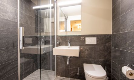 SWISSPEAK Resorts Meiringen Apartment 4 7