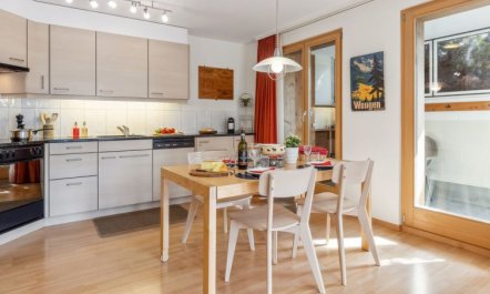 Silberhorn Apt. V Apartment 2 2