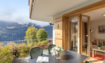 Silberhorn Apt. V Apartment 2 1