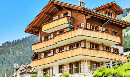 Silberhorn Apt. DW 4