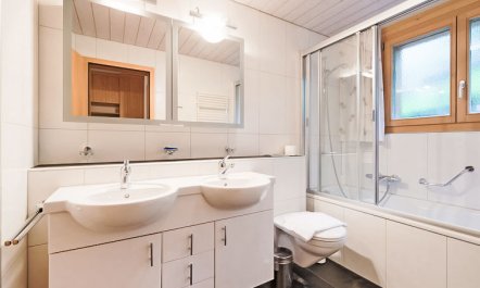 Silberhorn Apt. DW 3