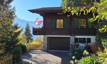 Chalet Tannengüetli