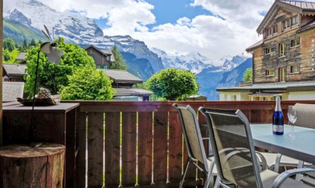 Goldenhorn Apt.S Apartment 2 4