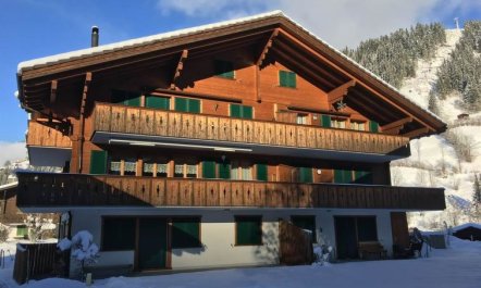 Chalet Lenk Dänk App. 6 1