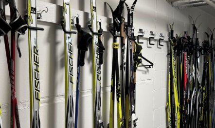 Chalet Lenk Dänk App. 6 2