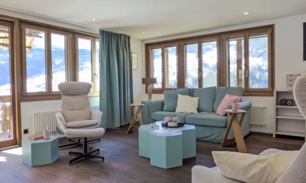 Chalet Adlerhorst OG 6