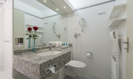 Standard, Dorint Blümlisalp 5