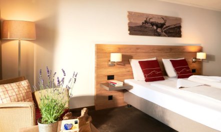 Standard, Dorint Blümlisalp 4