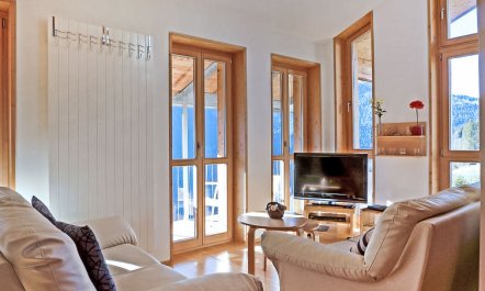 Schweizerheim Apt.5 1