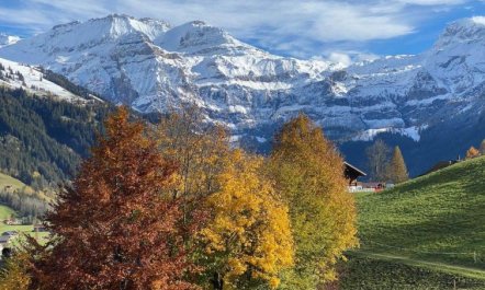 Untere Bühlstrasse 10 - EG 1