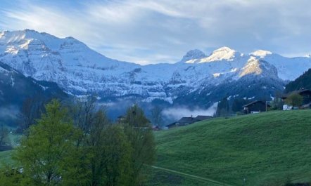 Untere Bühlstrasse 10 - EG 4