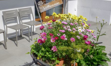 Chalet La Muntaniala 1