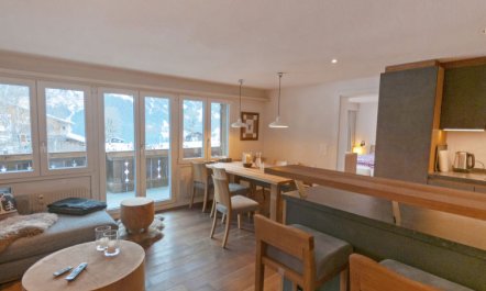 Chalet Bodmisunne Apartment 2 5