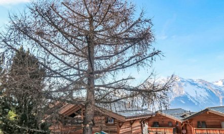 Eden Roc 53 Apartment 3 4