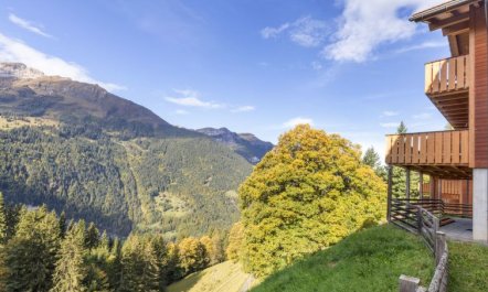 Racer's Retreat Apt.07 4