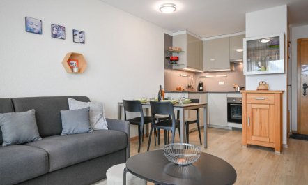 Eaux-Vives 213 Apartment 23