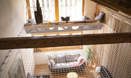 Appartement - N°5 4