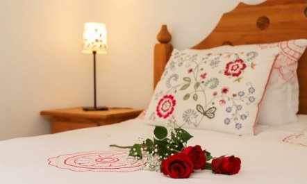 Domaine des Reines C10 Apartment 5 5