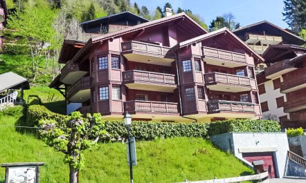 Bouquetins Apartment 2