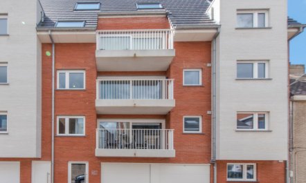 Medano Apartment 2 7