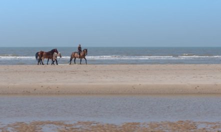 Royal Golf Gardens Apartment 5 5