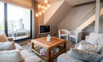 Rochusview.be with parking and terrace 6