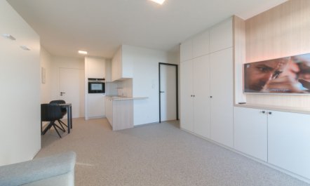 Astrid 66 - 802 Apartment 7 1