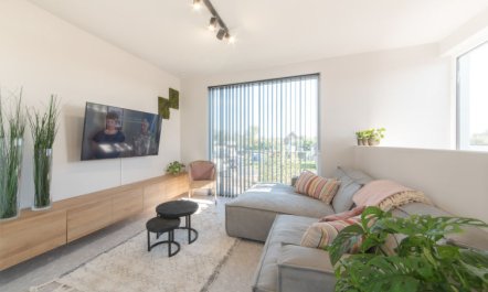 Green Holiday Home 3 2