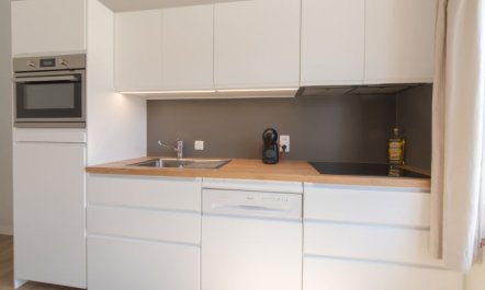 Duinenhuisje 25 parking and shared pool Holiday Home 4 3