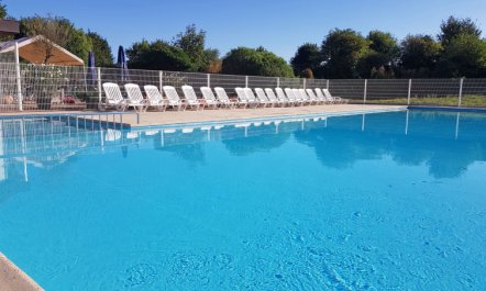 Duinenhuisje 25 parking and shared pool Holiday Home 4 4