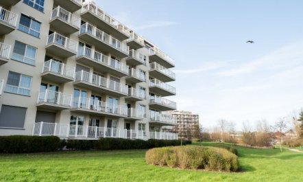 Whispering Waves with parking & terrace 5