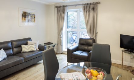 Baggot Rath Apartment 4 1