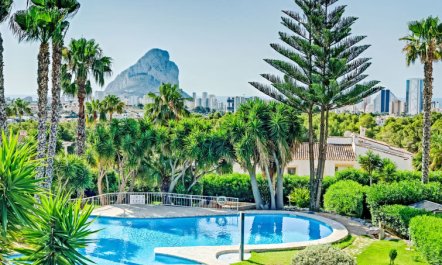 Rosada Holiday Home 4