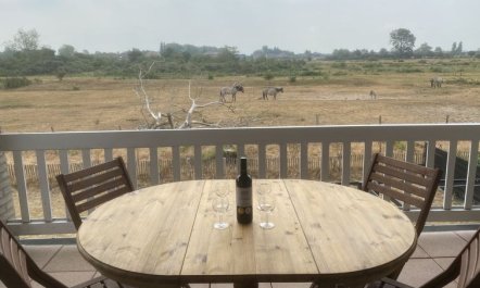 D’Heyezicht Apartment 2 6