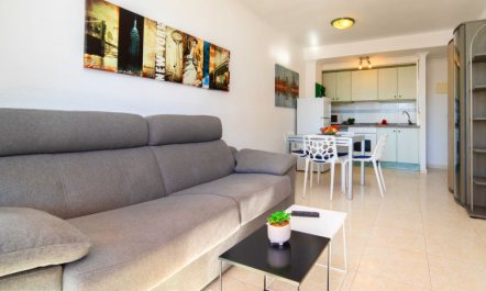 Zafiro 02 Apartment 2 2