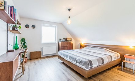 Villa Vosseslag - garage and big garden 5