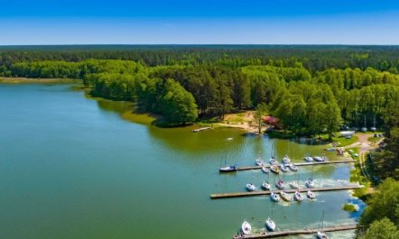 Zapach Lasu - Naturalne Spa 4