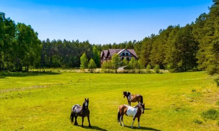 Zapach Lasu - Naturalne Spa 7