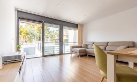 Palmera dels Munts 5