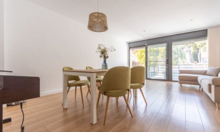 Palmera dels Munts 6