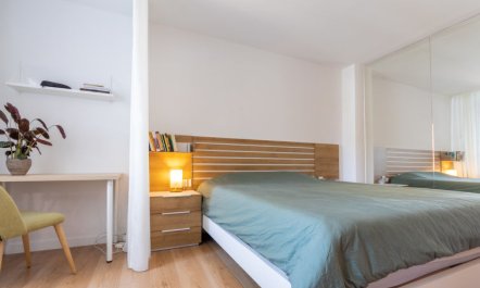 Palmera dels Munts 3