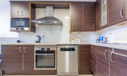 Palmera dels Munts 8