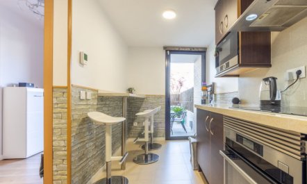 Palmera dels Munts 9