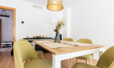 Palmera dels Munts 1