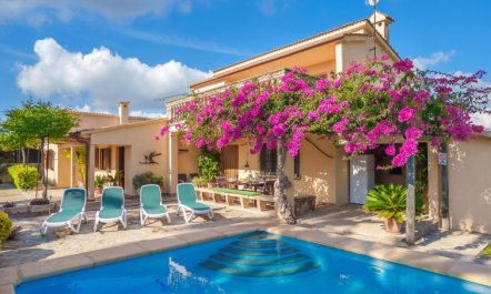 La Truyola Pool Finca