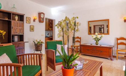 La Truyola Pool Finca 7